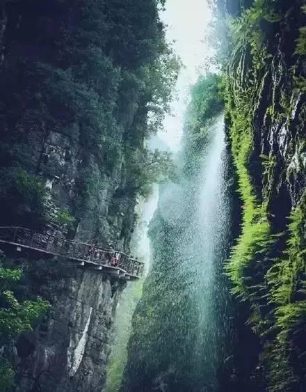 逃离森林湖畔